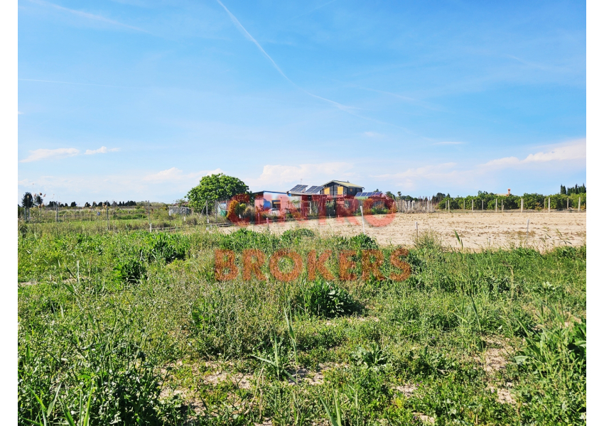 Ziemia rolna - grunt rolny w Cullera, Walencja